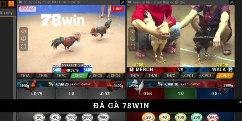 Đá Gà 78win - Trải Nghiệm Đặt Cược Trực Tuyến Đỉnh Cao 1 Một vài thông tin về sảnh đá gà 78win